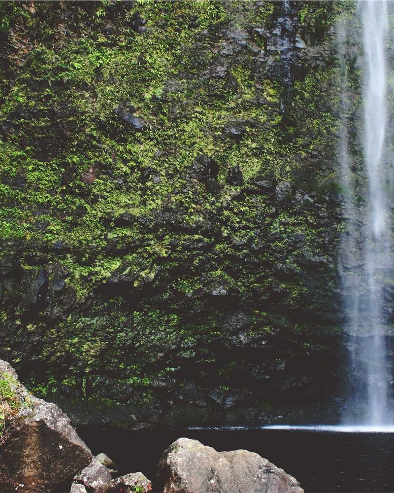 Caftan Mariée Or & Ivoire