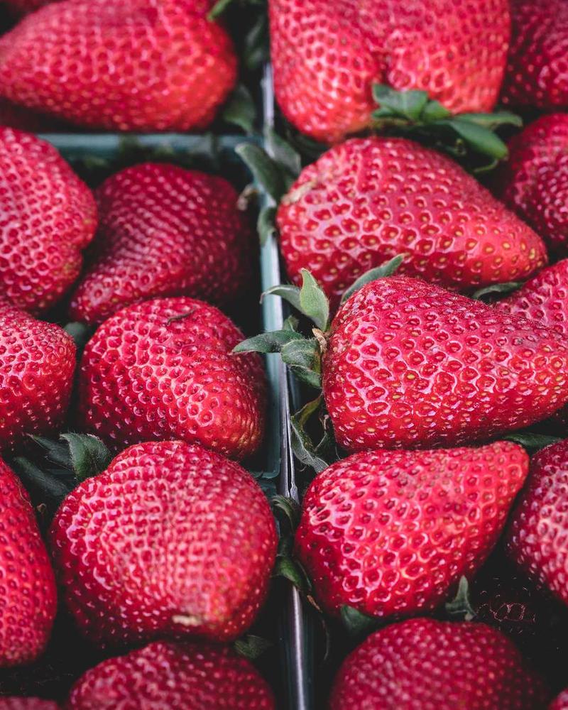 Takchita Nuptiale Traditionnelle