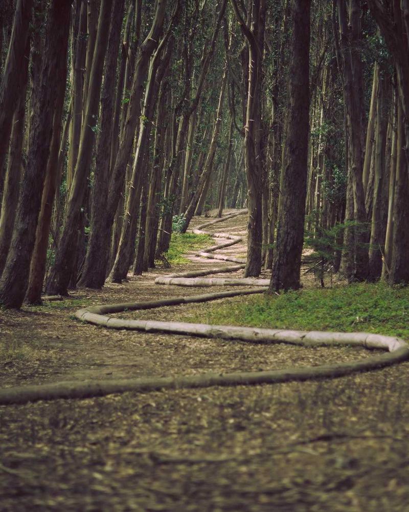 Caftan Petite Princesse