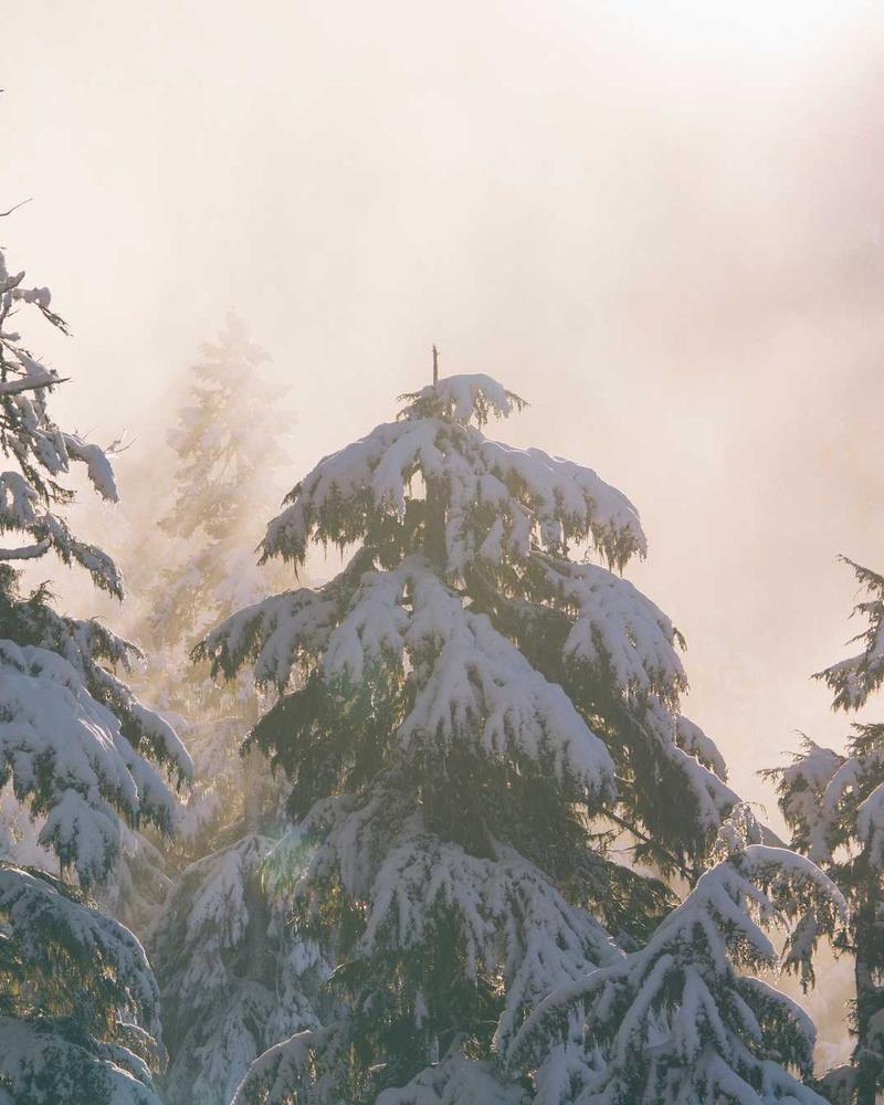 Jellaba Femme Moderne