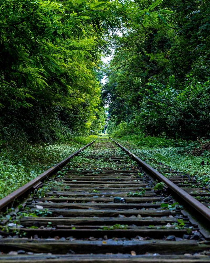 Tapis de Prière Luxe