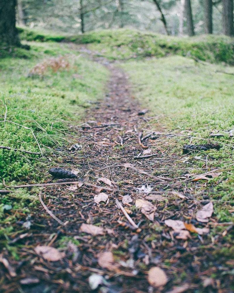 Coussin Marocain Brodé