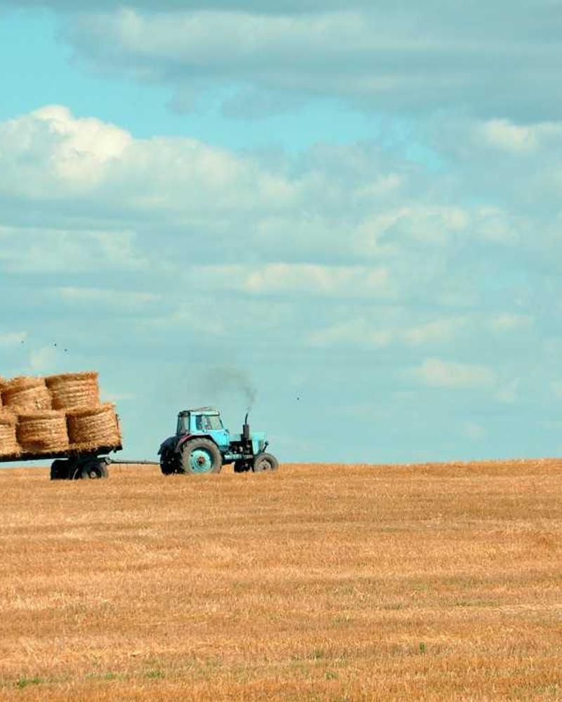 Caftan Mariée Or & Ivoire